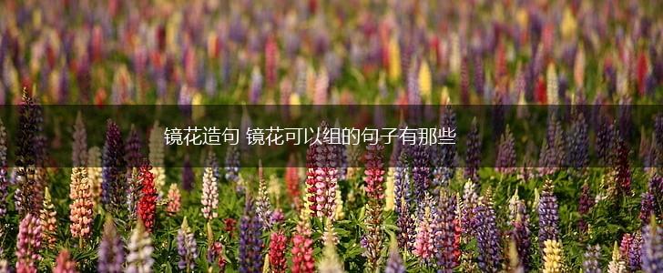 镜花造句 镜花可以组的句子有那些,第1张