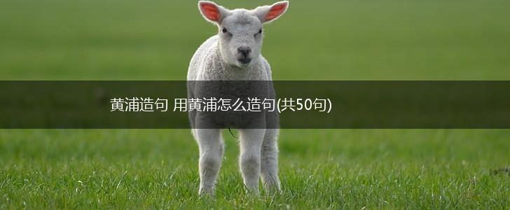 黄浦造句 用黄浦怎么造句(共50句),第1张