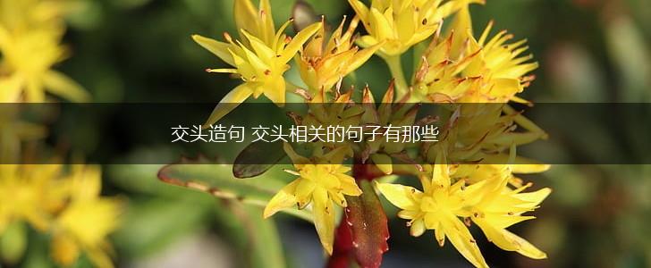 交头造句 交头相关的句子有那些,第1张