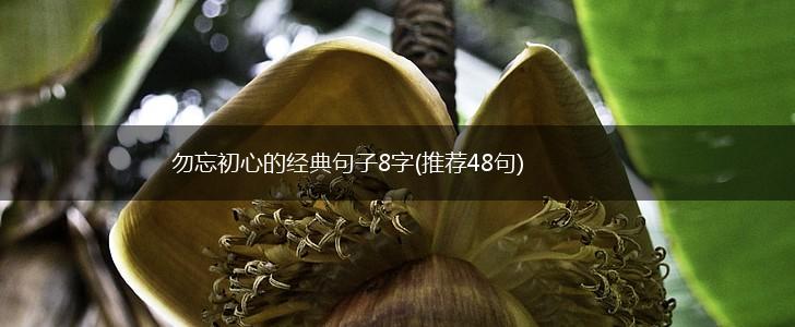 勿忘初心的经典句子8字(推荐48句),第1张