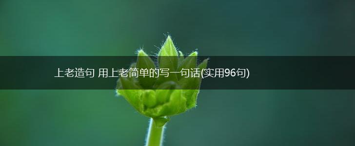 上老造句 用上老简单的写一句话(实用96句),第1张