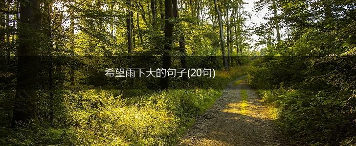 希望雨下大的句子(20句),第1张