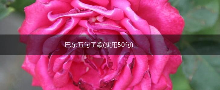 巴东五句子歌(实用50句),第1张