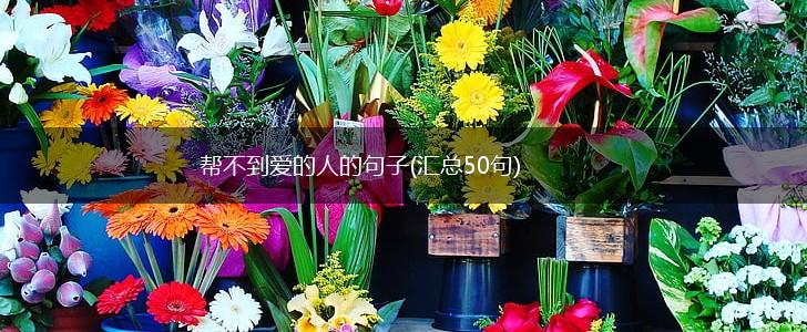 帮不到爱的人的句子(汇总50句),第1张