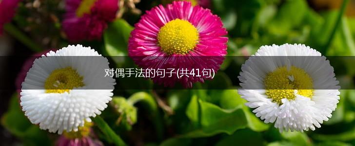 对偶手法的句子(共41句),第1张