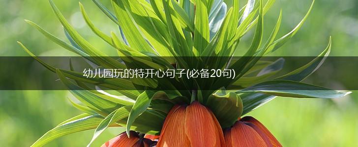 幼儿园玩的特开心句子(必备20句),第1张