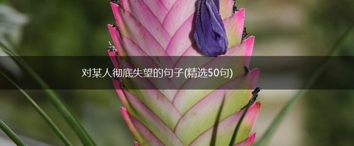 对某人彻底失望的句子(精选50句),第1张