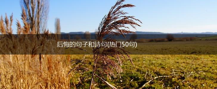 后悔的句子和诗句(热门50句),第1张