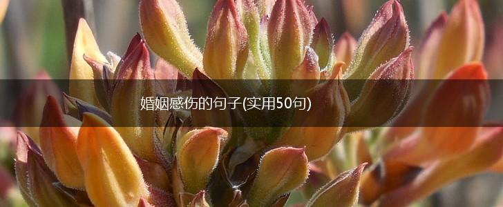 婚姻感伤的句子(实用50句),第1张