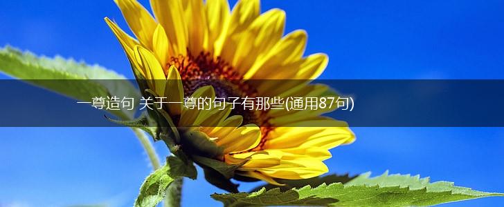 一尊造句 关于一尊的句子有那些(通用87句),第1张