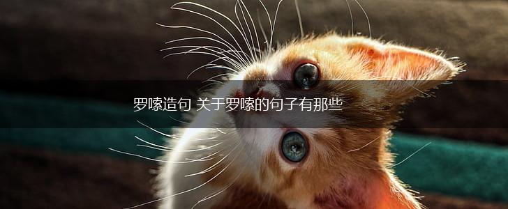 罗嗦造句 关于罗嗦的句子有那些,第1张