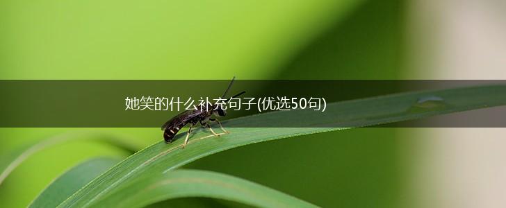 她笑的什么补充句子(优选50句),第1张