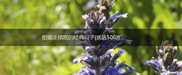 婚姻走错路的经典句子(优选50句),第1张