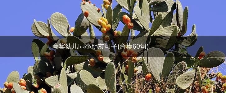 夸奖幼儿园小朋友句子(合集60句),第1张