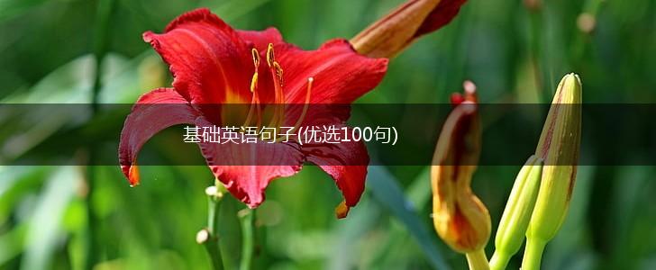 基础英语句子(优选100句),第1张
