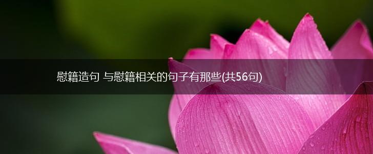 慰籍造句 与慰籍相关的句子有那些(共56句),第1张