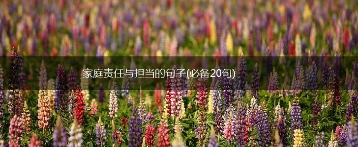家庭责任与担当的句子(必备20句),第1张