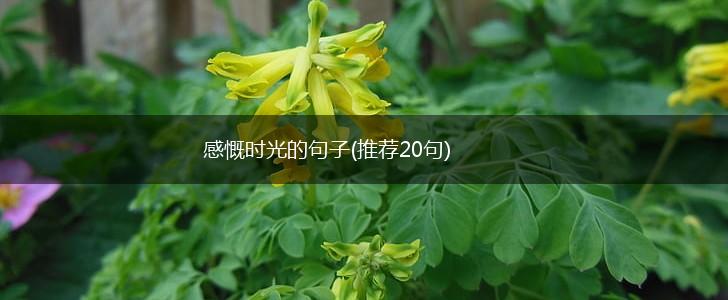 感慨时光的句子(推荐20句),第1张