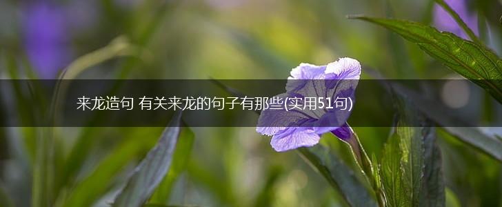 来龙造句 有关来龙的句子有那些(实用51句),第1张