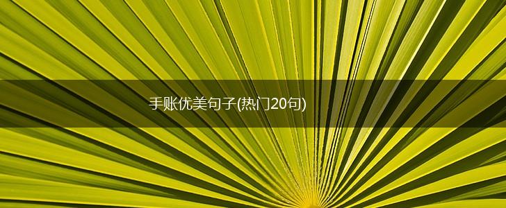 手账优美句子(热门20句),第1张