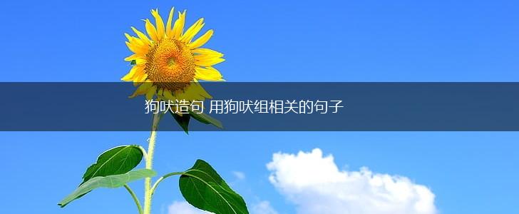 狗吠造句 用狗吠组相关的句子,第1张