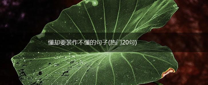 懂却要装作不懂的句子(热门20句),第1张