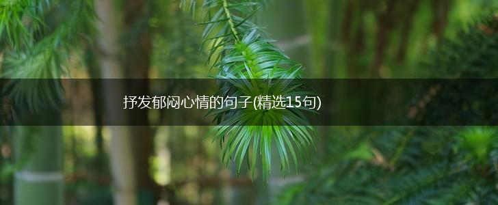 抒发郁闷心情的句子(精选15句),第1张