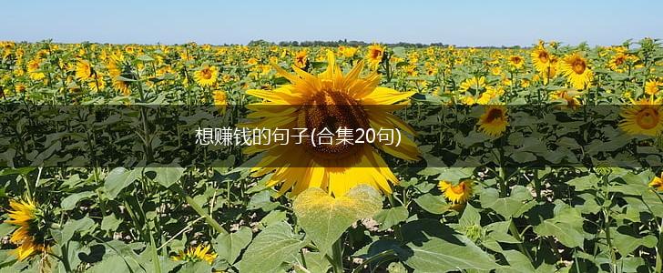 想赚钱的句子(合集20句),第1张