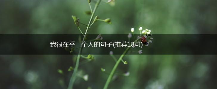我很在乎一个人的句子(推荐18句),第1张
