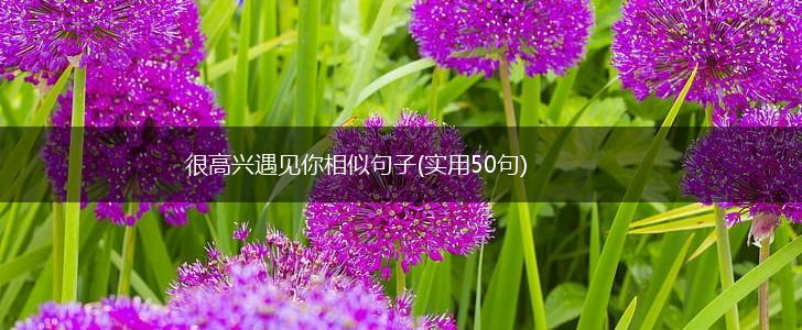很高兴遇见你相似句子(实用50句),第1张