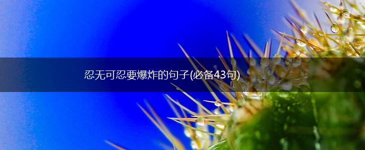忍无可忍要爆炸的句子(必备43句),第1张