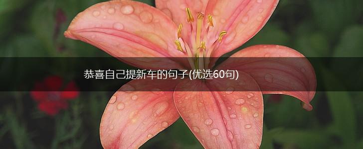 恭喜自己提新车的句子(优选60句),第1张