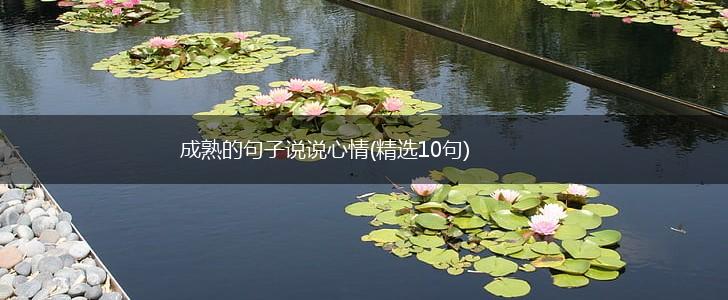 成熟的句子说说心情(精选10句),第1张