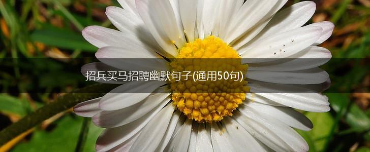 招兵买马招聘幽默句子(通用50句),第1张