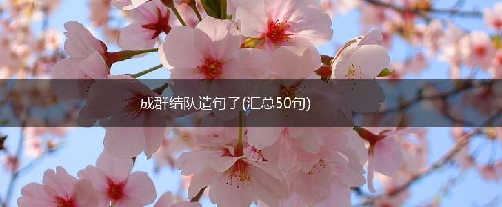 成群结队造句子(汇总50句),第1张