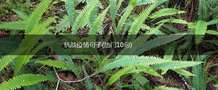 抗战疫情句子(热门10句),第1张