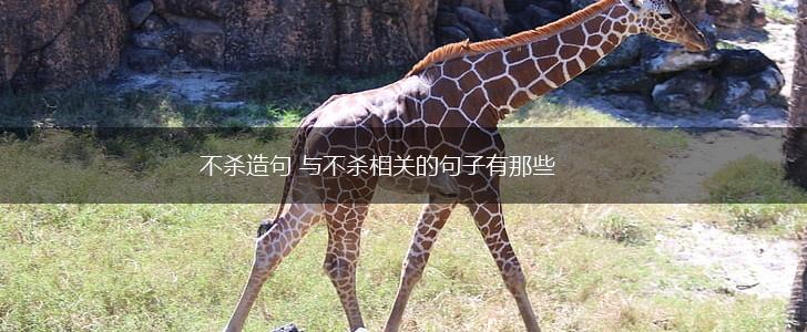 不杀造句 与不杀相关的句子有那些,第1张