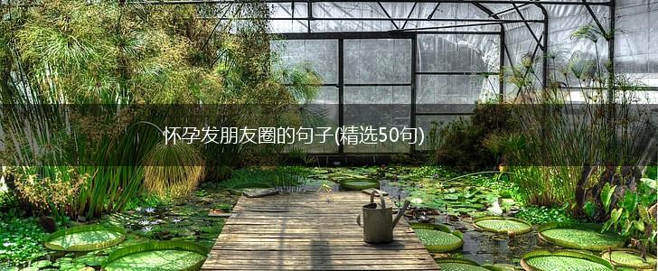 怀孕发朋友圈的句子(精选50句),第1张