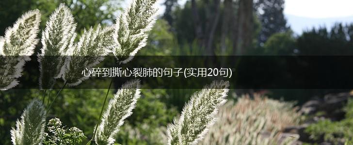 心碎到撕心裂肺的句子(实用20句),第1张