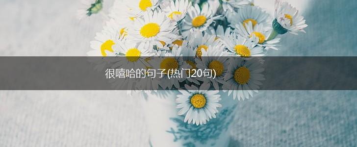 很嘻哈的句子(热门20句),第1张