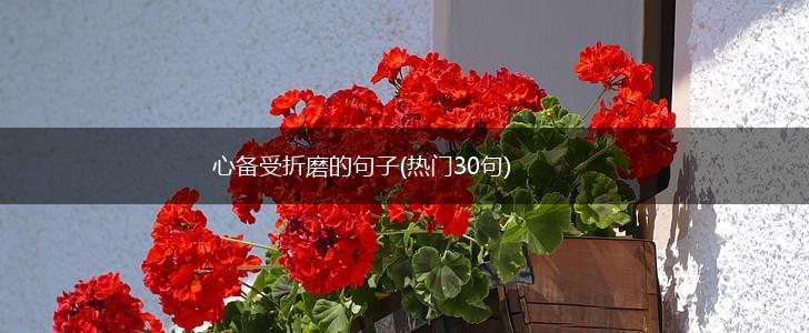 心备受折磨的句子(热门30句),第1张