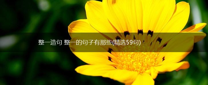 整一造句 整一的句子有那些(精选59句),第1张