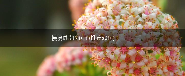 慢慢进步的句子(推荐50句),第1张