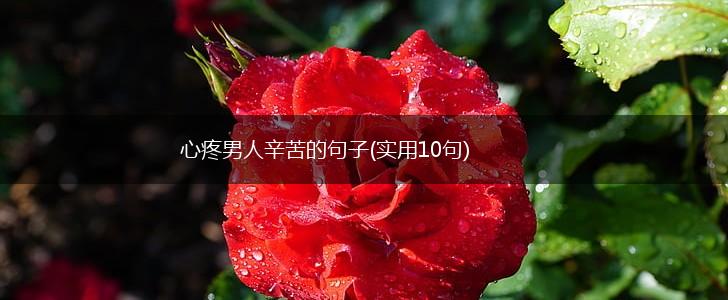 心疼男人辛苦的句子(实用10句),第1张
