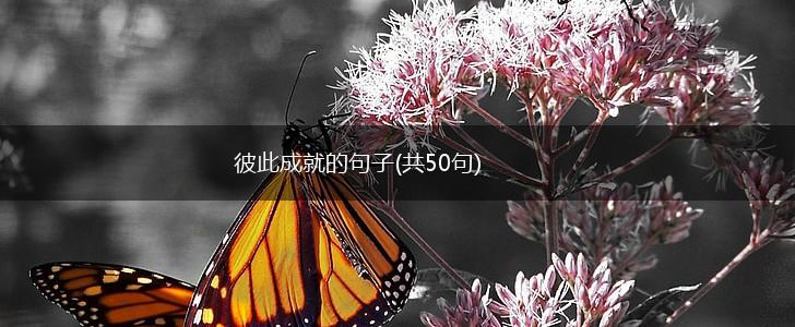 彼此成就的句子(共50句),第1张