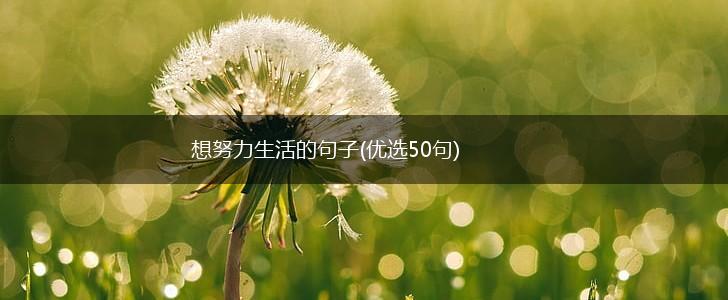 想努力生活的句子(优选50句),第1张