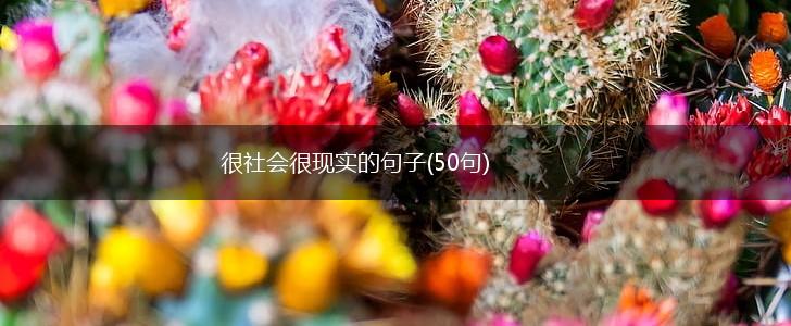 很社会很现实的句子(50句),第1张