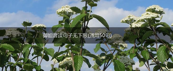 御姐音读句子无下限(通用50句),第1张