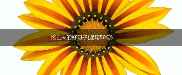 忆亡夫的好句子(通用50句),第1张