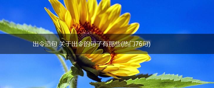 出令造句 关于出令的句子有那些(热门76句),第1张